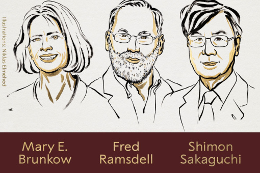 ÇMIMI NOBEL PËR MJEKËSI DHE FIZIOLOGJI – KUPTIMI MË I MIRË I SISTEMIT IMUNOLOGJIK